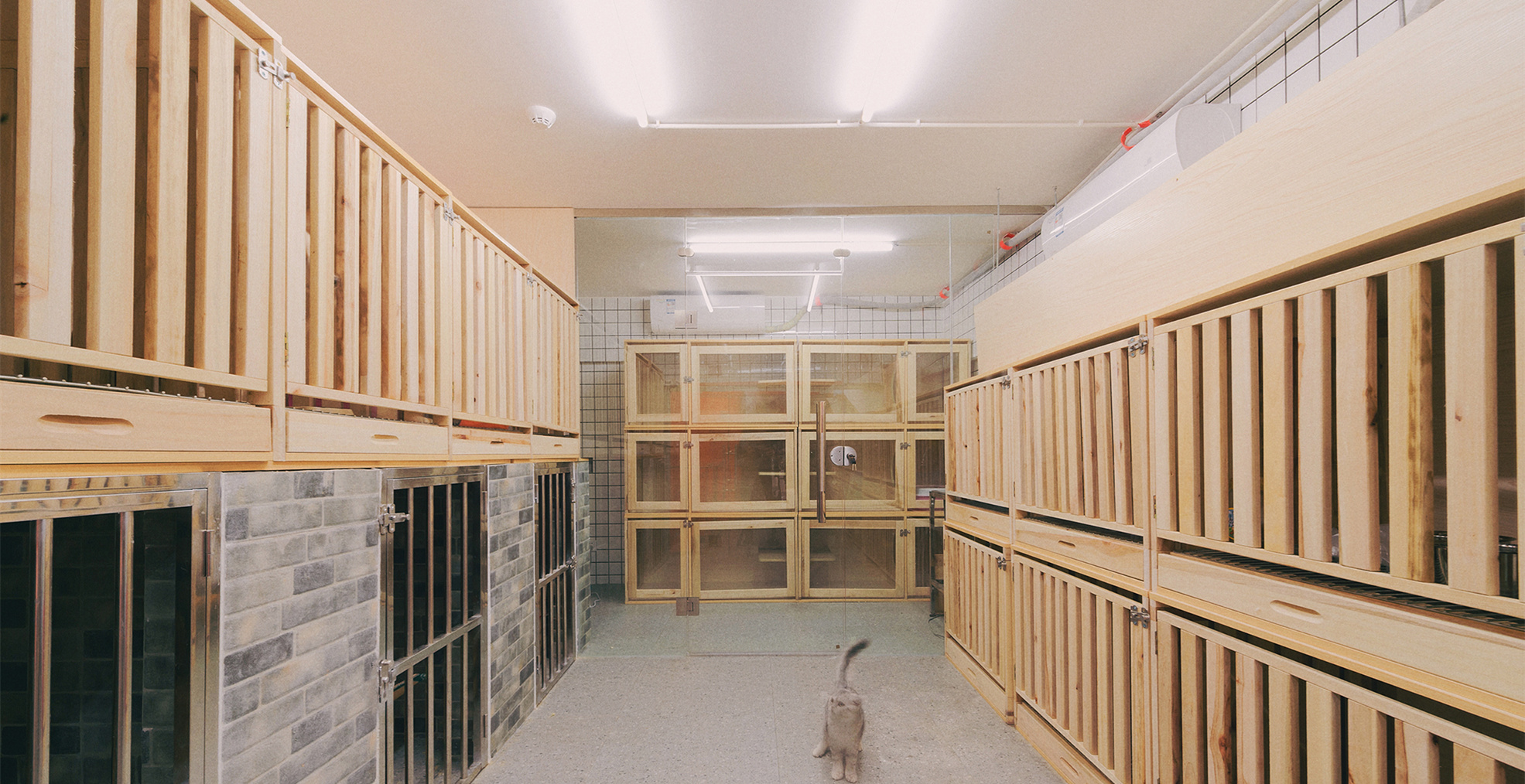 青浦區(qū)小清新寵物店裝修設(shè)計(jì)-第2張圖片-上海古都建筑設(shè)計(jì)集團(tuán) 青浦區(qū)小清新寵物店裝修設(shè)計(jì)-第2張圖片-上海古都建筑設(shè)計(jì)集團(tuán)